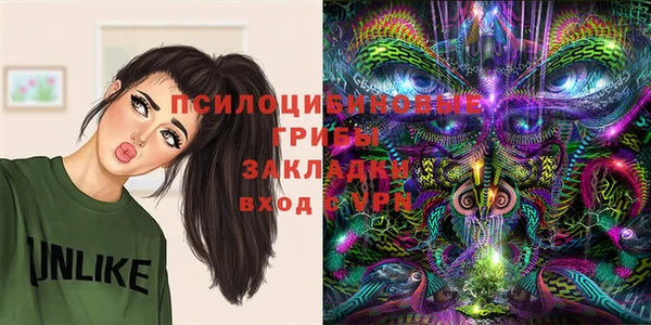a pvp Киреевск