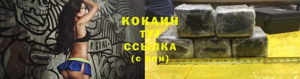 прущие грибы Киренск