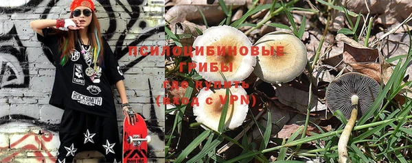 прущие грибы Киренск